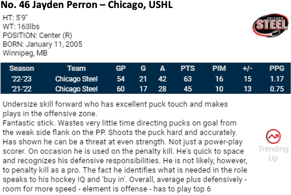 2023 NHL Draft Scouting Report, Highlights: Jayden Perron Is Among