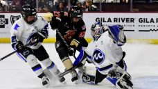 Fans celebrate as Toronto Six win first-ever Isobel Cup championship