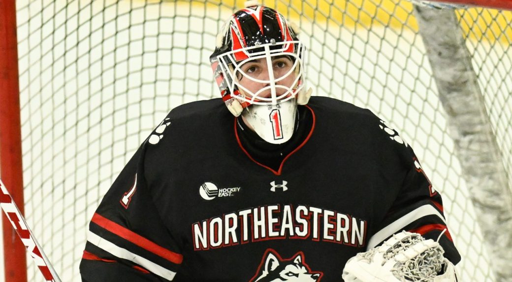 Top 3 All-Time Sabres Goalies  Buffalo sabres, Nhl, Buffalo