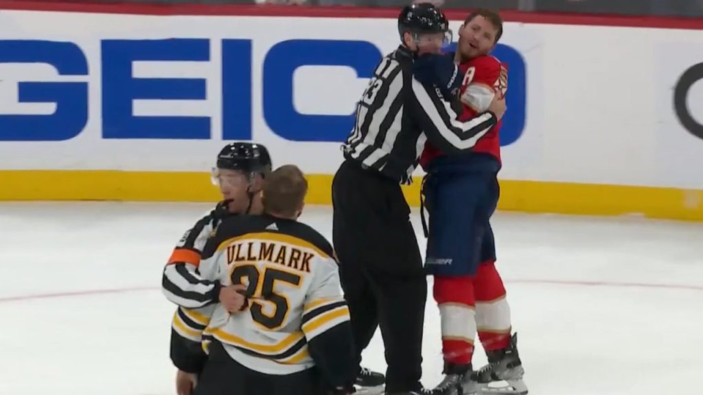 Video: Red Wings Fan Throws Haymakers During Fight In The Stands