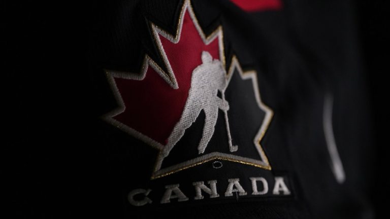 Hockey Canada has formed a committee of stakeholders to help structure the organization's next women's and girls' hockey strategic plan. (Darren Calabrese/CP)