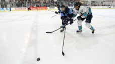 PWHPA financers purchase PHF, unified women&#8217;s hockey league planned