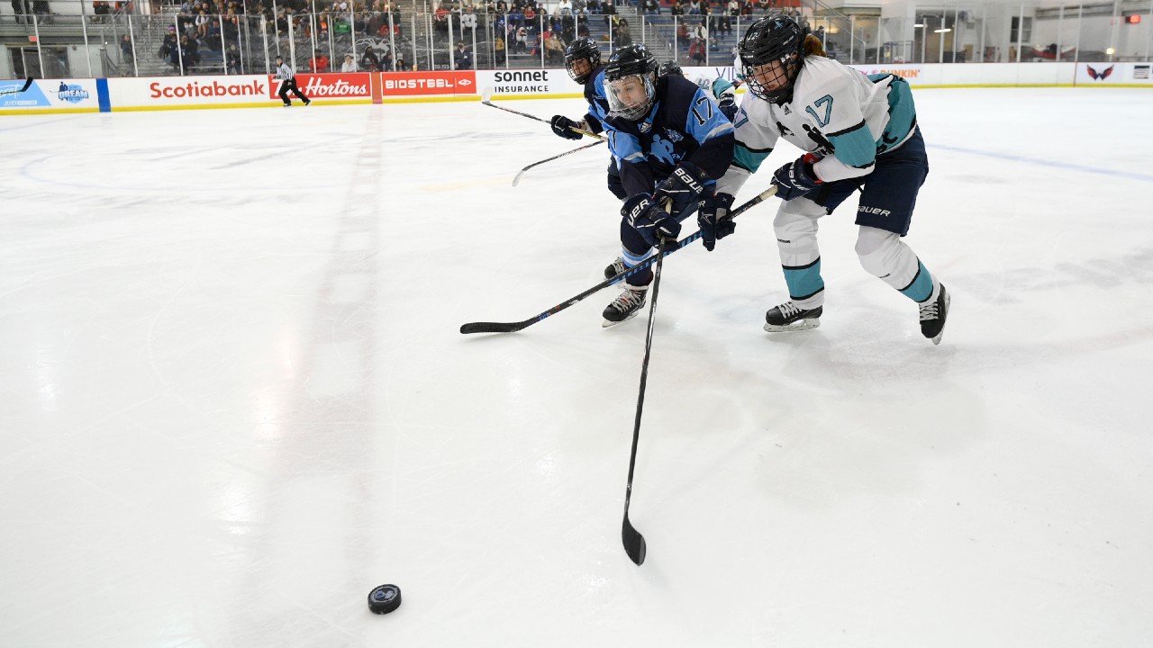 New women's hockey league projected to launch in January after PHF  purchase: reports
