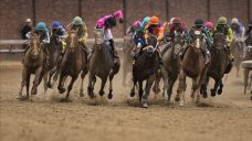 Churchill Downs implements safety standards to address recent spate of horse deaths