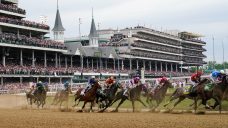 6-year-old horse dies at Belmont Park after race injury