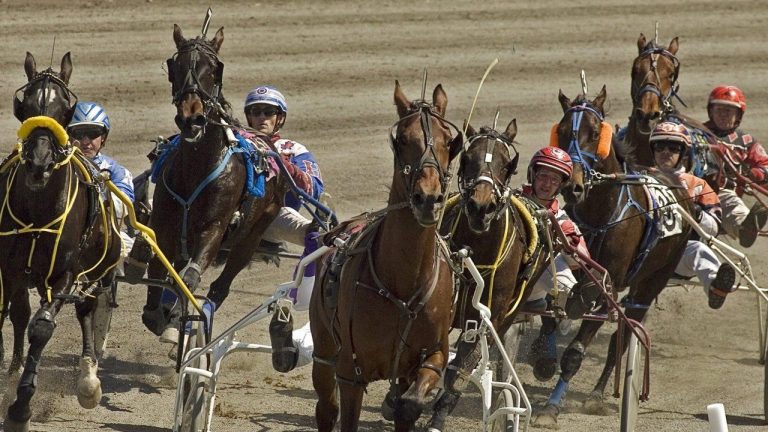 Drivers and horses head into a turn during harness racing action at the Charlottetown Driving Park in Charlottetown on Saturday, April 19, 2008. THE CANADIAN PRESS/Andrew Vaughan
ANDREW VAUGHAN