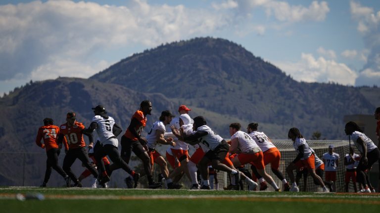 B.C. Lions players run a play during a light practice during the CFL football team's training camp in Kamloops, B.C. (Darryl Dyck/CP)