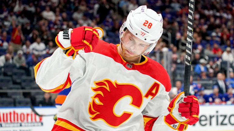 Calgary Flames centre Elias Lindholm celebrates his goal during the first period of an NHL hockey game against the New York Islanders, Monday, Nov. 7, 2022, in Elmont, N.Y. (Julia Nikhinson/AP)