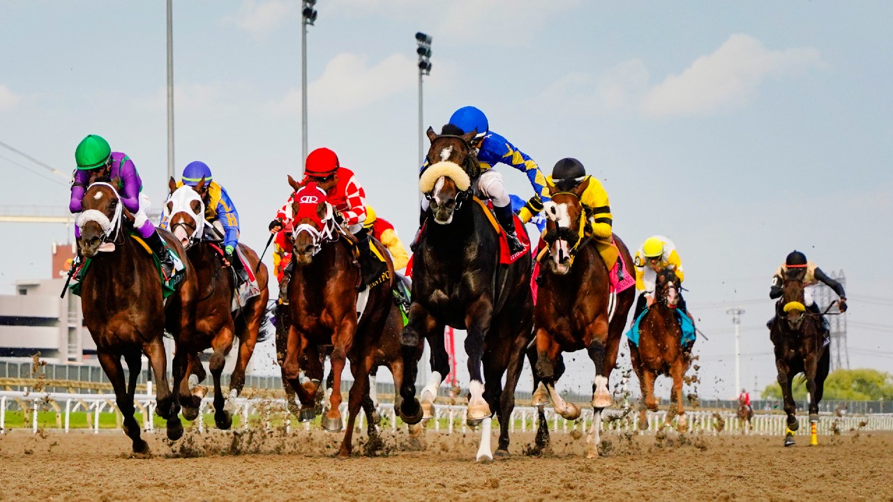 Paramount Prince wins 164th King’s Plate at Woodbine BVM Sports