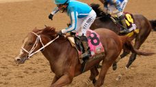 New Mexico governor demands changes to make horse racing drug-free