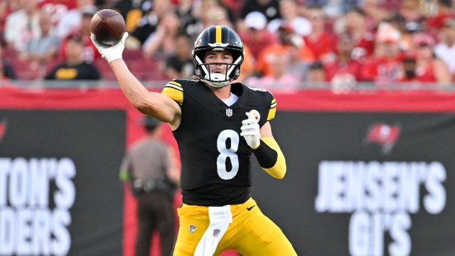 NFL Pre Season Roundup Steelers beat sloppy Bills Dolphins rout