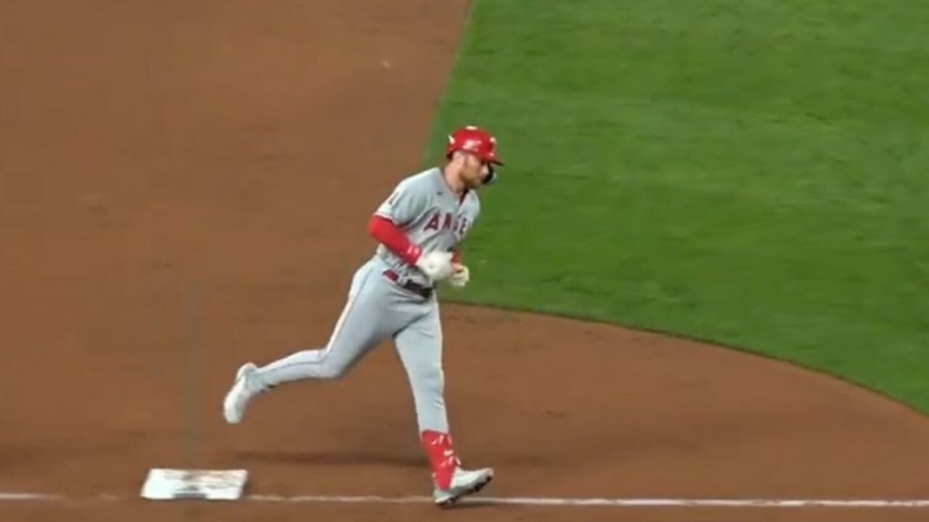 Fan takes selfie after outfielder Brandon Drury dives into stands for catch