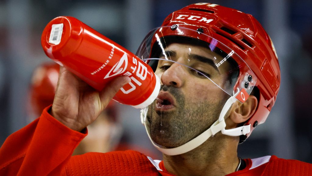 NHL: Muslim Nazem Kadri is emerging from the background as one of the best