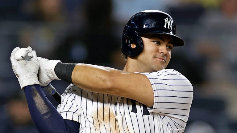 New York Yankees rookie Jasson Dominguez. (Adam Hunger/AP)