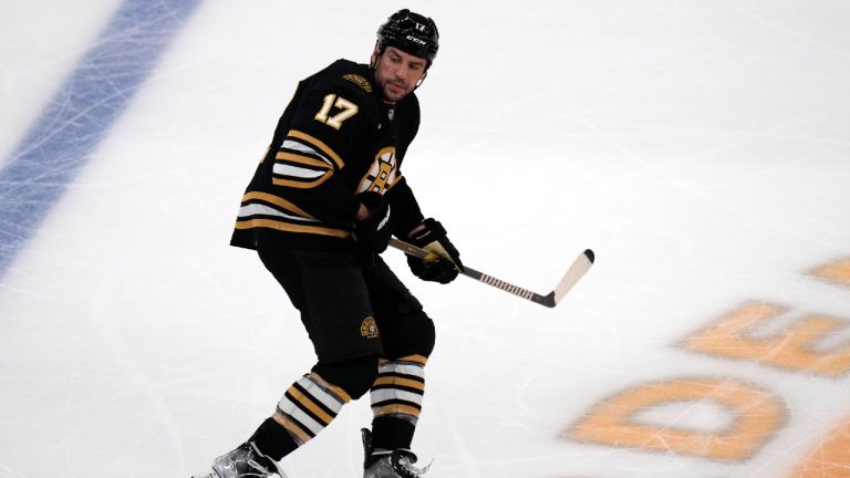 Boston Bruins left wing Milan Lucic (17). (Charles Krupa/AP)