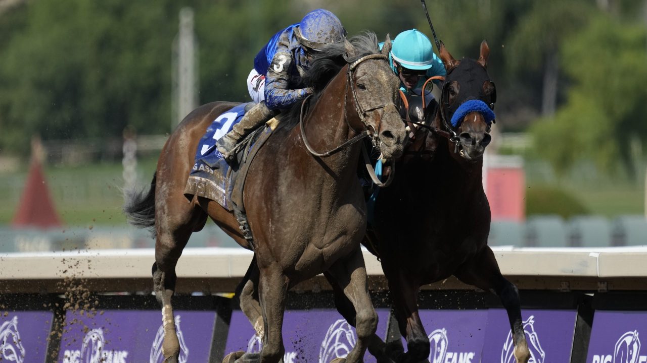 Cody's Wish Wins Breeders' Cup Dirt Mile in Dramatic Finish BVM Sports