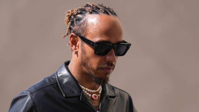 Lewis Hamilton will continue to push for more diversity within Formula 1 when the seven-time champion moves to Ferrari next year. (Kamran Jebreili/AP)