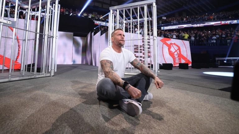 WWE crushed its social media record over the Thanksgiving holiday weekend, with the return of wrestler CM Punk at Survivor Series garnering more than 71 million views. (WWE)