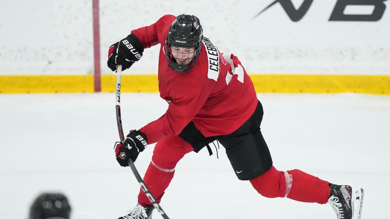 Canada unveils roster for world junior hockey championship BVM Sports