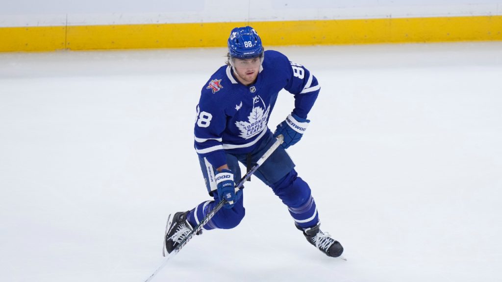 Timmins, Tanev crosscheck: Leafs' player fined max amount
