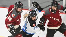 PWHL Snap Shots: Toronto-Montreal rivalry in good hands