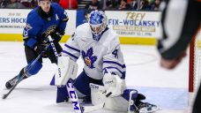 Maple Leafs prospect Hildeby now NHL-necessary as Samsonov reports to minors