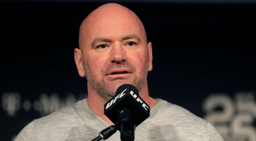 Dana White’s Contender Series Week 9 results: Pereira rival gets UFC contract