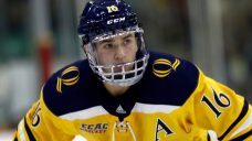 Future Considerations: Looking at the top college free agents in 2024