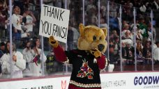 NHL board approves relocation of Arizona Coyotes to Utah