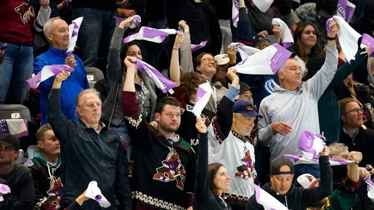 Arizona Coyotes fans. (Ross D. Franklin/AP)