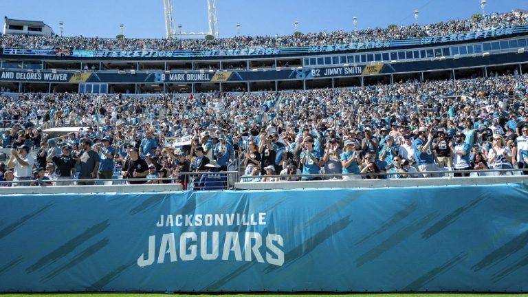 Jacksonville Jaguars fans cheer during an NFL football game at EverBank Stadium, Sunday, Oct. 15, 2023, in Jacksonville, Fla. (Alex Menendez/AP Photo)
