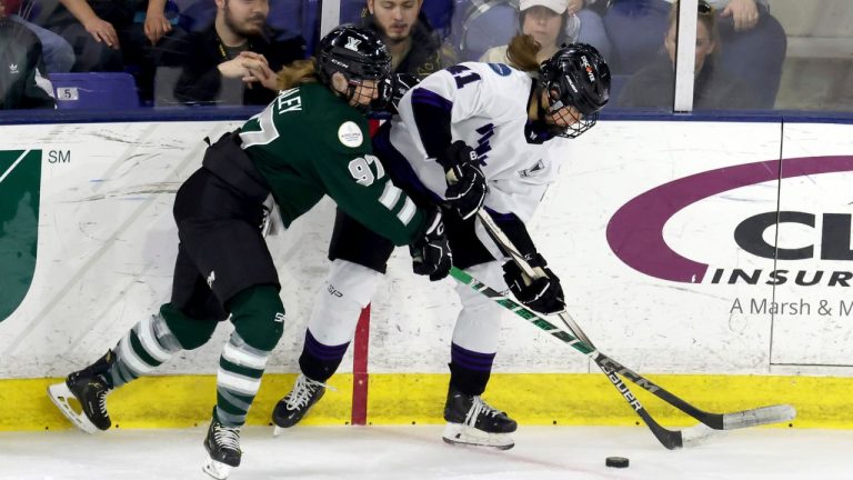 Boston defender Jess Healey and Minnesota forward Denisa Krizova chase the puck during the first period of Game 2 of a PWHL hockey championship series, Tuesday, May 21, 2024, in Lowell, Mass. (Mark Stockwell/AP Photo)