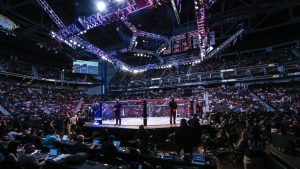 Fans await the next fight during a UFC mixed martial arts event. (Gary McCullough/AP)