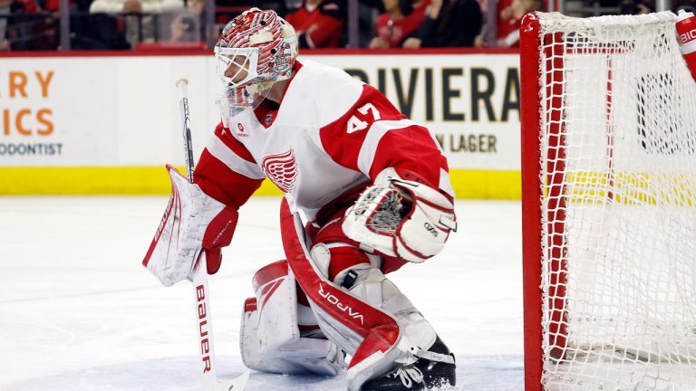 Detroit Red Wings goaltender James Reimer (47) watches the puck against the Carolina Hurricanes during the second period of an NHL hockey game in Raleigh, N.C., Thursday, March 28, 2024. (Karl B DeBlaker/AP Photo)