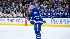 Maple Leafs re-sign Alex Steeves to one-year contract