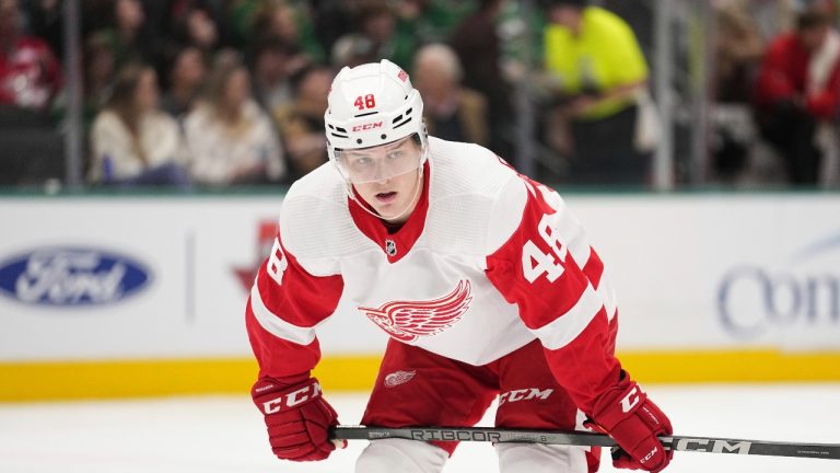 Detroit Red Wings' Jonatan Berggren watches a face-off during an NHL hockey game against the Dallas Stars in Dallas, Monday, Dec. 11, 2023. (AP/Tony Gutierrez)