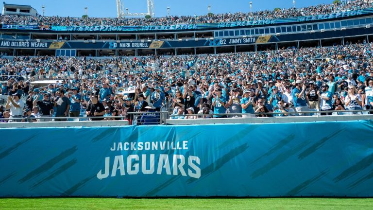 Jacksonville Jaguars fans cheer during an NFL football game at EverBank Stadium, Sunday, Oct. 15, 2023, in Jacksonville, Fla. (Alex Menendez/AP Photo)