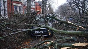 A car is seen underneath a fallen tree in Liverpool, England, during storm Darragh, Saturday, Dec. 7, 2024. (Peter Byrne/PA via AP) 