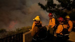 Firefighters watch from a backyard as the Palisades Fire advances in Mandeville Canyon Saturday, Jan. 11, 2025, in Los Angeles. (Eric Thayer/AP)